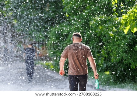 Unrecognizable anonymous man walking through a massive flying poplar fluff storm. Back view of an unrecognizable man walking along a park path heavily covered in falling white cottonwood fluff. A dense cloud of flying fluff resembling a snowstorm fills the air. He holds a water bottle. Concept of severe seasonal allergy and urban environment issues.