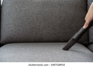 Unrecognizable Asian Man Housekeeper Using A Vacuum Machine Vacuuming A Dust On A Sofa In Living Room Close Up. A Man Cleaning And Sanitizing His House For Hygiene Living. Vacuum Machine And Housework