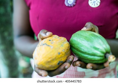 Unrecognizable Female Farmer Holding Cocoa Pods 