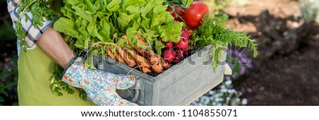 Unrecognizable female farmer holding crate full of freshly harvested vegetables in her garden. Homegrown bio produce concept. Sustainable living.