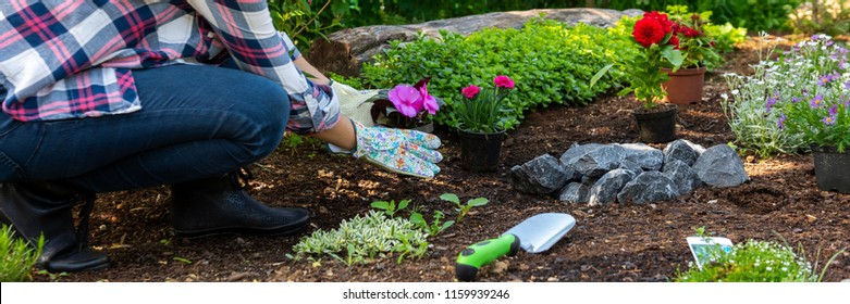 Unrecognizable Female Gardener Holding Beautiful Flower Ready To Be Planted In A Garden. Gardening Concept. Garden Landscaping Small Business Banner.