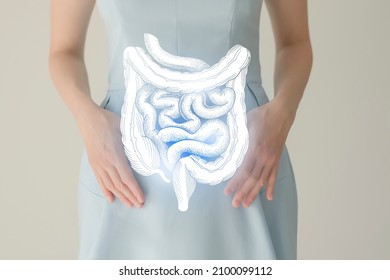 Unrecognizable female patient in blue clothes, highlighted handrawn intestine in hands. Human digestive system issues concept.