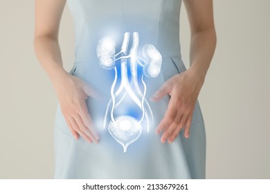 Unrecognizable female patient in blue clothes, highlighted handrawn renal system in hands. Human renal system issues concept. - Shutterstock ID 2133679261