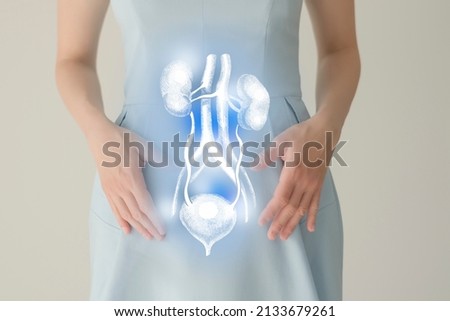 Unrecognizable female patient in blue clothes, highlighted handrawn renal system in hands. Human renal system issues concept. Foto stock © 
