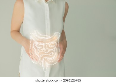Unrecognizable female patient in white clothes, highlighted handrawn intestine in hands. Human digestive system issues concept.