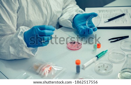 Unrecognizable female scientist with bacteriological protection suit with a petri dish in the laboratory