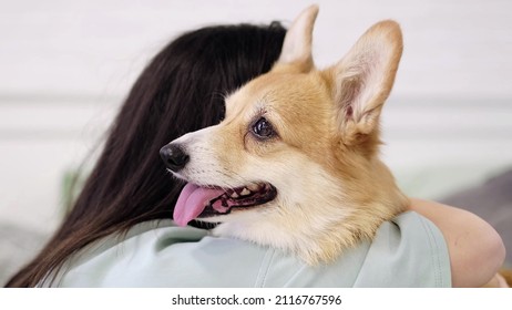 Unrecognizable Girl Hugging Her Dog Corgi, Pet Therapy And Canisterapy For Adults And Children. Animal Assisted Therapy.