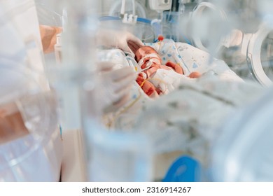 Unrecognizable hand in gloves of nurse or doctor taking care of premature baby placed in a medical incubator. Neonatal intensive care unit in hospital.