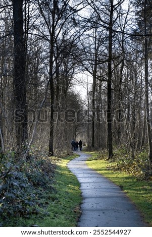 Similar – Foto Bild Unbekannter Wanderer geht im Wald spazieren