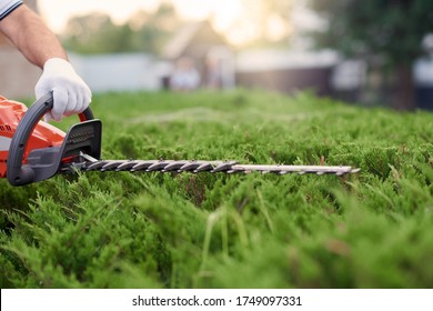 Unrecognizable male gardener cutting hedge. Close up of worker in gloves tidily shaping top of big green bushes using red and black electric trimming machine. Concept of work, gardening. - Shutterstock ID 1749097331