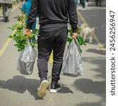 Unrecognizable man walking with rose seedlings for garden. Gardening, spring, hobby concept