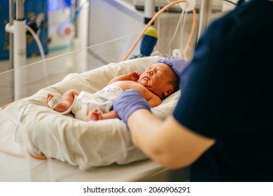 Unrecognizable Nurse In Blue Gloves Takes Action And Care For Premature Baby, Selective Focus On Baby Eye Newborn Is Placed In The Incubator. Neonatal Intensive Care Unit