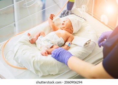 Unrecognizable Nurse In Blue Gloves Takes Action And Care For Premature Baby, Selective Focus On Baby Eye Newborn Is Placed In The Incubator. Neonatal Intensive Care Unit. Sun Glare Effect.