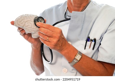 Unrecognizable Nurse With A Stethoscope On A Plastic Brain. Mental Health. Neuroscience