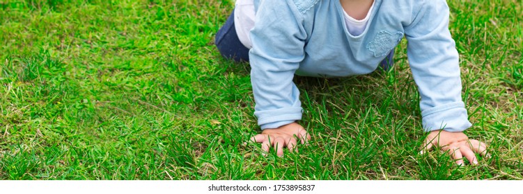 Unrecognizable One-year-old Child In A Blue Jacket And Jeans Crawls On The Green Grass In The Backyard Of The House. First Steps. Child's Height. Child Care. Trouble Walking. Banner