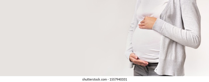 Unrecognizable Pregnant Woman Touching Belly Posing In Studio Over White Background. Panorama, Copy Space, Cropped - Shutterstock ID 1557940331