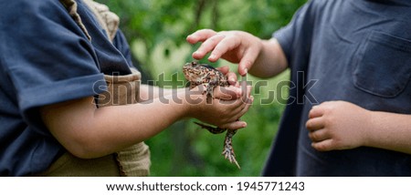 Similar – Foto Bild froschgrün Umwelt Natur