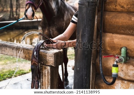 Unrecognizable woman on farm washing and cleaning horse riding leather gear in stable