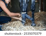 unrecognizable woman rider gently secures leg protectors on her horse inside the stable, showcasing her dedication to the animal