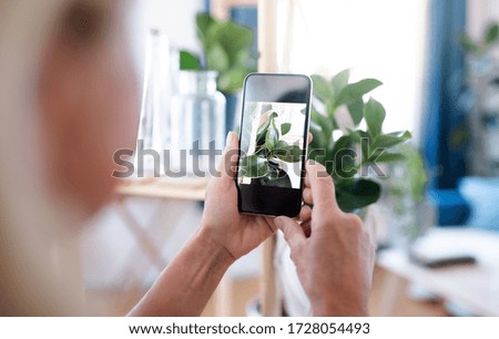 Similar – Image, Stock Photo beautiful caucasian woman taking a selfie with her dog at sunset in countryside. Using mobile phone. Technology and lifestyle outdoors