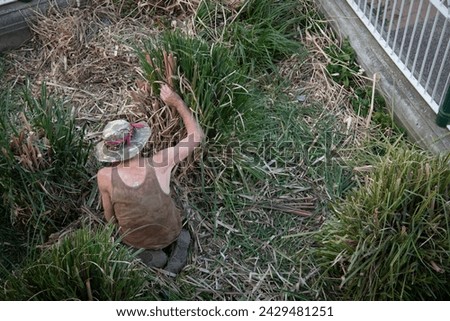 Unrecognized person doing gardening outdoor. Removing dry plants, preparing the garden.