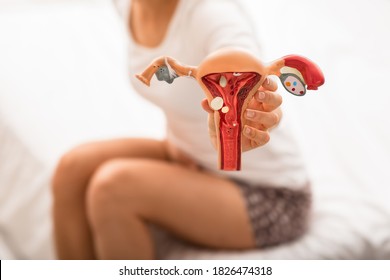 unrecognizing woman with abdominal pain holds the anatomical model of uterus and ovaries with pathology. diseases uterus and ovaries, endometriosis, ovarian cysts