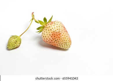 An Unripe Strawberry Branch