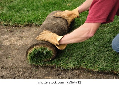 Unrolling Sod for a New Lawn - Shutterstock ID 95364712