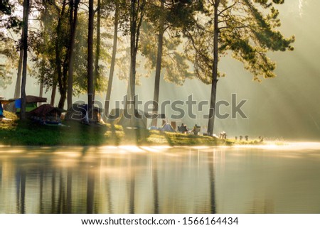 Unseen Morning sunlight shine through pine forest into Pang Ung lake with fog floating on the water. Pang Ung famous travel camping destination at Mae Hong Son province amazing Thailand.