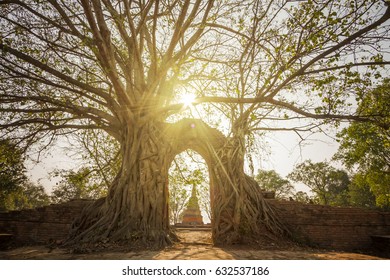 Unseen Thailand,Historic old city of Thailand, Wat Phra Ngam, Ayutthaya,Thailand, Flare light from the sun shines in the sunset