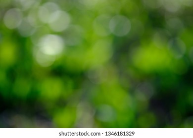 unsharp natural background