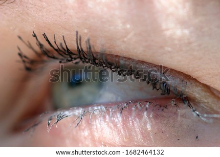 Similar – My look Eyelash Pupil