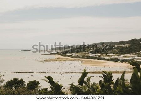 The untamed yet verdant coastline of Okinawa during low tide in Japan. The receding water of the Pacific Ocean at a Japanese green tropical Island.