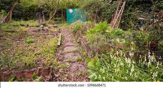 12,206 Messy garden Images, Stock Photos & Vectors | Shutterstock