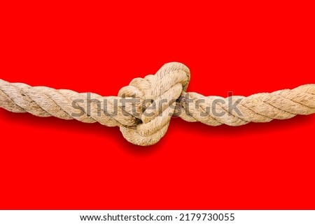 Untie the knots - problem solving concept image on red background 商業照片 © 