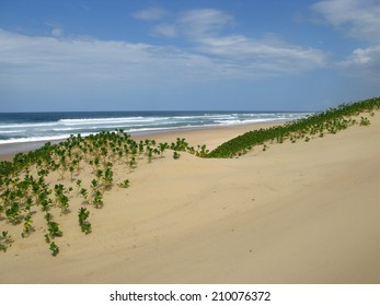 Untouched Sand Dunes In Sodwana Bay, South Africa