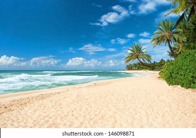 Untouched sandy beach with palms trees and azure ocean in background  