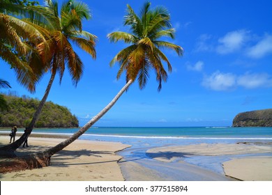 Untouched Tropical Beach In Grenada, Caribbean