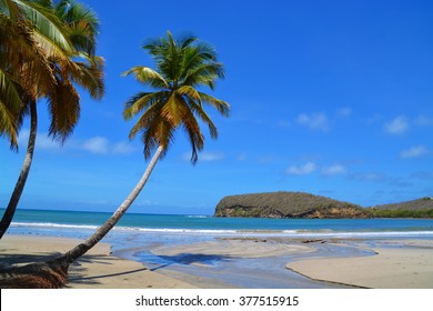 Untouched Tropical Beach In Grenada, Caribbean