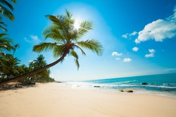 Orörd Tropisk Strand I Sri Lanka
