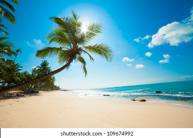 Нетронутый тропический пляж в Шри-Ланке