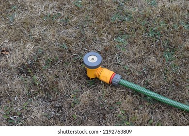 Unused Sprinkler On Unhealthy Lawn, Dry Grass Affected By Drought In The UK