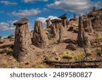 An unusual and amazing formation of balancing rocks near Lake Billie Chinook in Central Oregon.