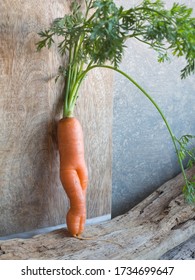 Unusual Carrot Shape As A Sexy Female Legs On Wood Surface Upstanding With Green Leaves