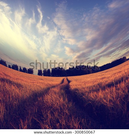 Similar – Image, Stock Photo Marshmallow Field VI