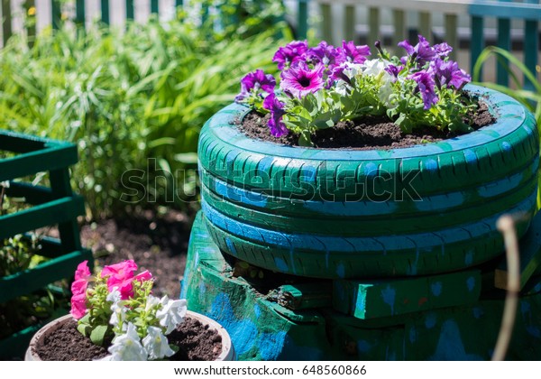 Unusual flower bed in the garden. A flower bed\
out of old car tires. The flowers are petunias. Spring, summer,\
garden flowers.