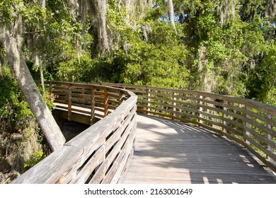 Unusual interesting winding wooden bridge dock or deck with shadows from the curved railing leading into the trees on a sunny afternoon
