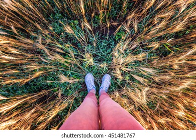 Unusual Perspective Legs Wheat Field Wheat Wide Frame