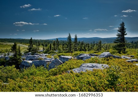 The unusual rock formations at Bear Rock in Dolly Sods Wilderness in West Virginia during summer