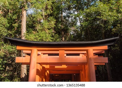 Unusual view of the Fushimi Inari Shrine torrii gates in Kyoto.